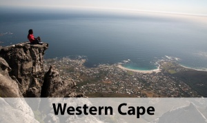 Home to the world’s longest wine route. Discover world-class wines, whale watching and contrasting landscapes